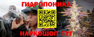 гидропоника Ликино-Дулёво