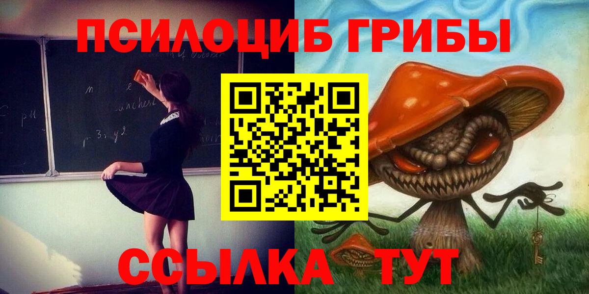 Заводоуковск  Галлюциногенные грибы Psilocybine cubensis  Вход с VPN 